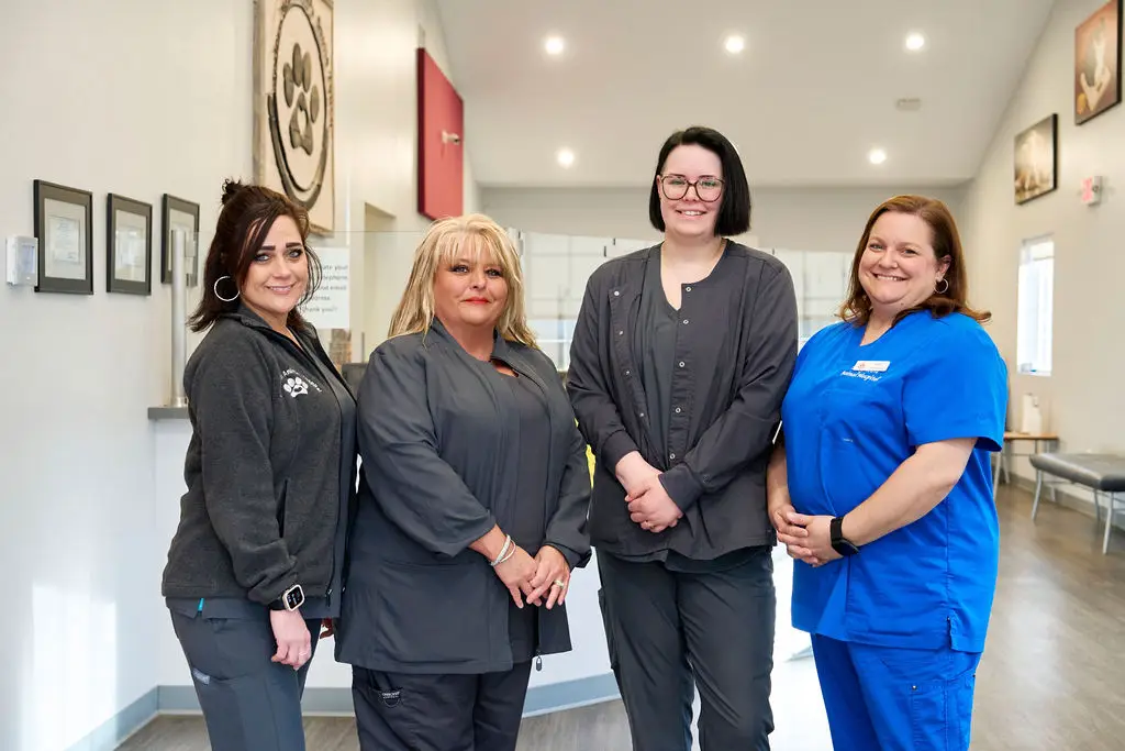Veterinary support staff at Ferguson Animal Hospital pose in the clinic lobby.