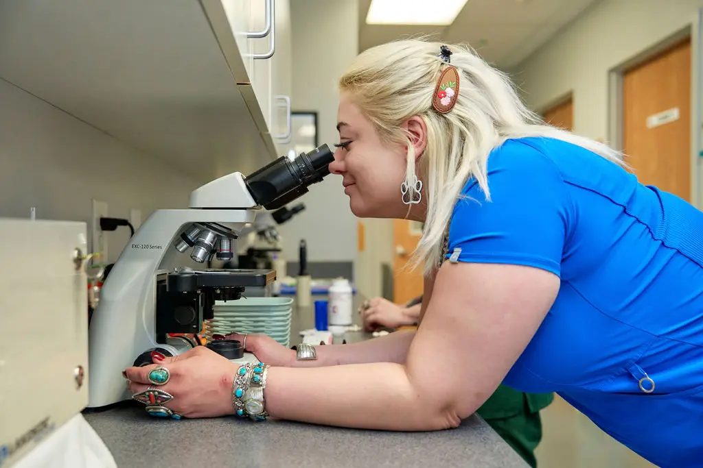 Veterinary staff looks into a microscope at Ferguson Animal Hospital