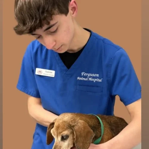 Spencer Sproles, Vet Assistant of Ferguson Animal Hospital.